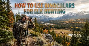 How to Use Binoculars for Elk Hunting
